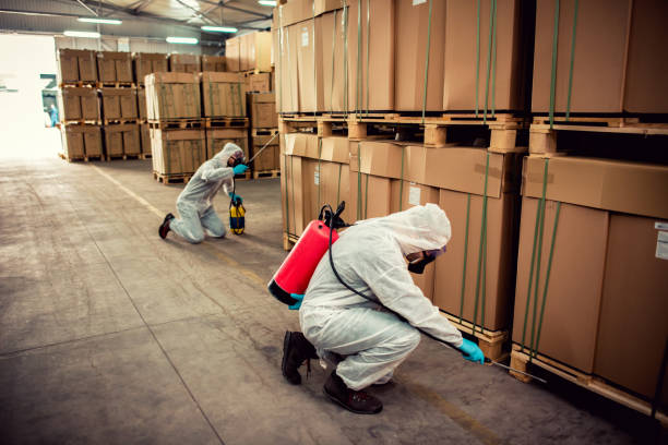 Best Wasp Removal Services  in Brandon, FL