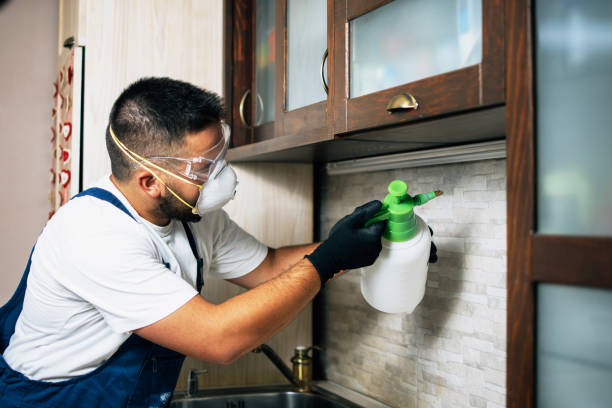 Trusted Brandon, FL Pest Control Experts