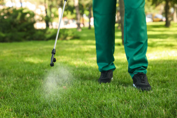 Best Pest Prevention Services  in Brandon, FL