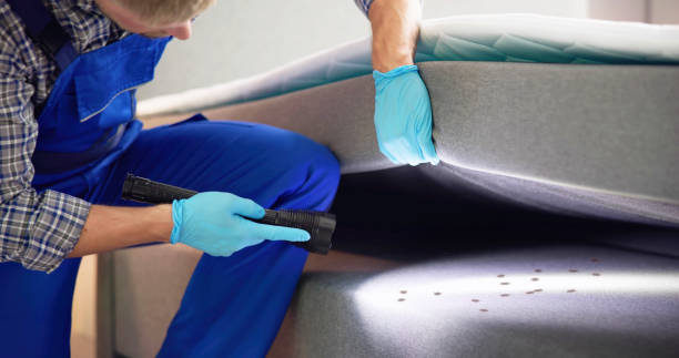 Best Termite Control Services  in Brandon, FL