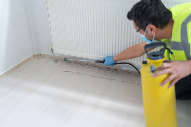 Best Affordable Pest Control Services  in Brandon, FL