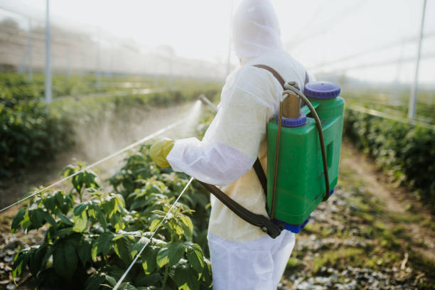 Best Residential Pest Control  in Brandon, FL